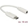 Delock USB-C į 3.5 mm adapteris laidinis