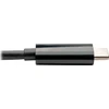 USB adapteris Eaton U444-06N-HGUB-C