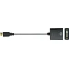 LOGILINK – USB 3.0 adapteris į DVI