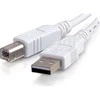 USB C2G kabelis USB-A – USB-B 3 m baltas (81562)