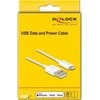 USB kabelis Delock USB-A - Žaibas 1 m Balta (83000)