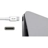 USB kabelis LMP USB-C - mikroUSB 1 m Balta (LMP -USBC-MUSB-W)
