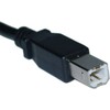 Sharkoon USB 2.0 Kabelis, USB-A Stecker > USB-B Stecker (juodas, 1,0 Meter)