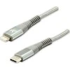 USB kabelis Logo USB- C - Žaibas 1 m sidabro