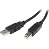 USB kabelis StarTech USB-A - USB-B 1,8 m Juodas (USB2HAB2M)
