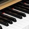V-TONE BL-980 BK skaitmeninis pianinas stacionarus juodas