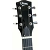 V-TONE VLP1 BK - electric guitar