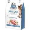 Brit Care Cat Large cats Power&Vitality ausas maistas katėms 7kg