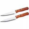 Vaggan FLORALAND MASTER GRILL PEILIAI STEIKUI RINKINYS 2vnt.