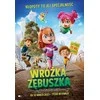 Vaizdo grotuvas Kino Swiat DVD grotuvas „Cinema World“ DVD „Dantukų fėja“