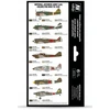 Vallejo Vallejo: 71.152 - Model Air - Air War - IJA Colors - Imperial Japanese Army Pre-War to 1945 (8x18 ml)