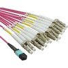 Value VALUE MPO Fanout Kabelis 50/125m OM4, MPO/12x LC, violetinė, 2 m