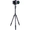 Vanguard VESTA TB204CB trikojis, anglinis