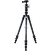 Vanguard VESTA TB204CB trikojis, anglinis