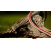 Žarna Vartco Professional Plus sodo žarna 3/4" 30 m