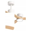 Globo Toys Lubinis ventiliatorius Globo SAVONA Baltas (5905910416826)