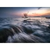 Venus Optics objektyvas Venus Optics Laowa CF 8-16 mm f/3,5-5 C-Dreamer, skirtas Sony E