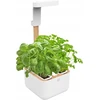 Veritable Véritable Botaneo – automatinė vazonėlis + 2 žolelių įdėklai