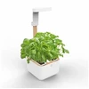 Veritable Véritable Botaneo – automatinė vazonėlis + 2 žolelių įdėklai