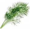 Veritable Véritable Lingot Kopr BIO*