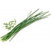 Veritable Véritable Lingot Szczypiorek - BIO*