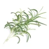 Veritable Tikras rozmarinas Lingot