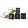 Veritable Véritable Lingot Tajska bazylia - BIO*