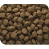 VERSELE-LAGA Classic su ėriena ir ryžiais - dry dog food - 20 kg