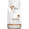 Vetexpert VET EXPERT Veterinary Diet Intestinal Dog - dry dog food - 2kg