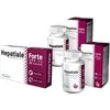 VET EXPERT HEPATIALE FORTE SMALL BREED and CATS 170MG 40TBL