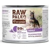 Vetexpert RAW PALEO Duoprotein antiena &amp; Boar Adult - wet dog food - 200g