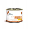 Vetexpert Raw Paleo VET EXPERT Intestinal Elimination kalakutiena – drėgnas ėdalas šunims – 200g