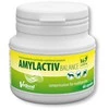 VETFOOD Amylactiv Balance – papildai šunims ir katėms – 60vnt.
