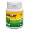 Gyvūnų papildas - VETFOOD Amylactiv Digest (30vnt, be glitimo, be sojos)