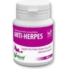 Papildai gyvūnams - VETFOOD Anti-Herpes (Vetfood, 60g, 40% baltymų)