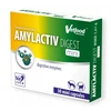 Gyvūnų maistas - Vetfood Amylactiv Digest Mini 30vnt Be sojos Be glitimo