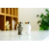 Vialli Design Prieskonių stiklainių rinkinys Vilagio 24 vnt. mišrios spalvos 1340