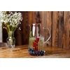 Vialli Design Mia Vandens ąsotis gėrimams 1100 ml 2040