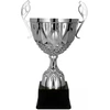 Victoria Sport Cup metalinis sidabrinis MUFAS