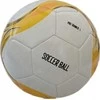 Victoria Sport Futbolo kamuolys Pro Trainer R.5
