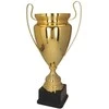 Victoria Sport Gold metalinis puodelis