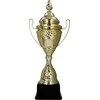 Victoria Sport Gold plastikinis puodelis - FUTBOLIS