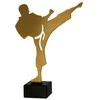 Victoria Sport Metal trofėjus su marmuriniu pagrindu - Karate - karateka