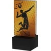 Victoria Sport Mini-Line Amber Trophy – TINKLINIS