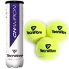 INNA Victoria Sport Teniso kamuolys ziemny 3 vnt. Tecnifibre Champion 1