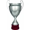 Victoria Sport Sidabrinis metalinis puodelis T-S