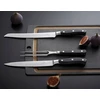 Victorinox Grand Maitre Rinkinys do krojenia 2 vnt. 20 cm