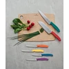 Victorinox Swiss Classic 8cm peilis do warzyw raudona