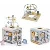 Viga Toys Lavinantis Medinis Žaislas VIGA Polar 5w1