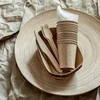 Vilde Mediniai vienkartiniai peiliai 16,5 cm 20 vnt.